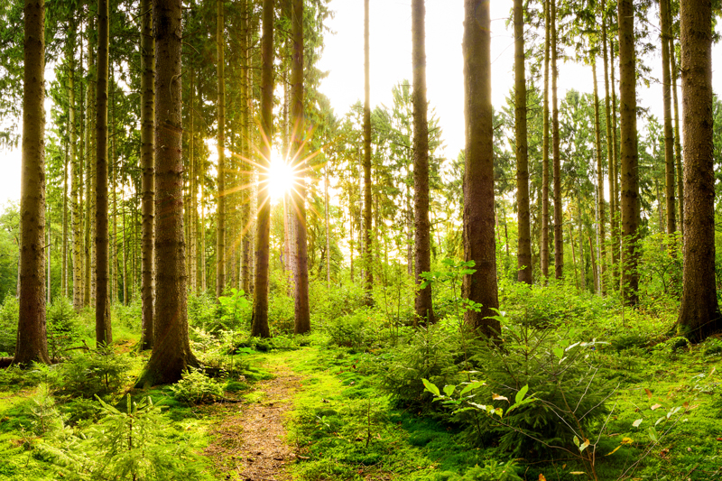 SDG-Invest-naturkapitalregnskab